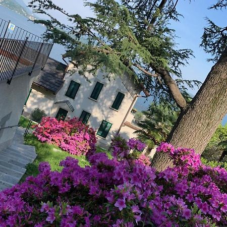 Апартаменты Giardini Magnolia Бельджирате Экстерьер фото