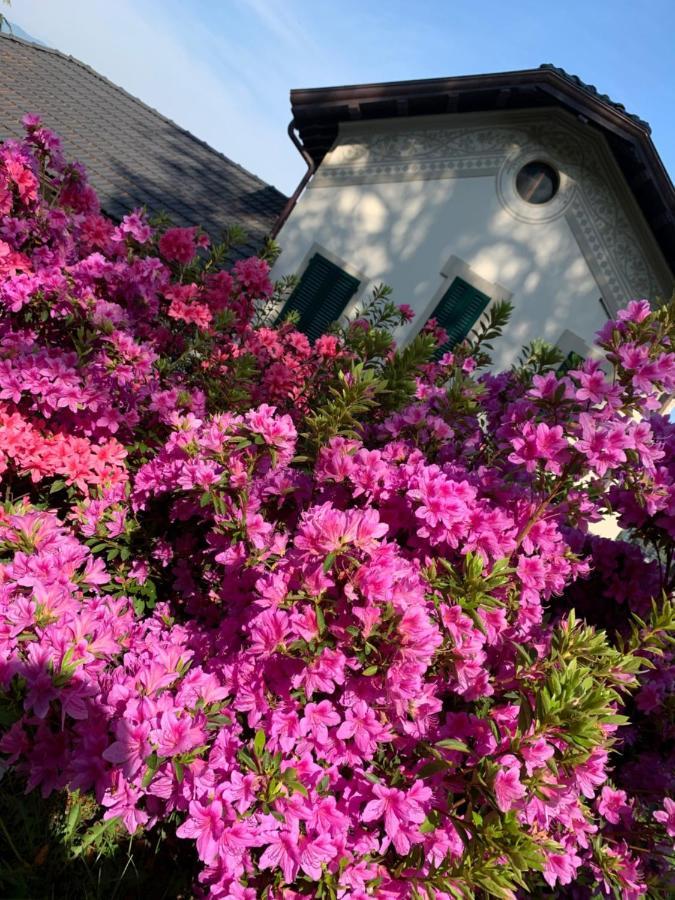 Апартаменты Giardini Magnolia Бельджирате Экстерьер фото