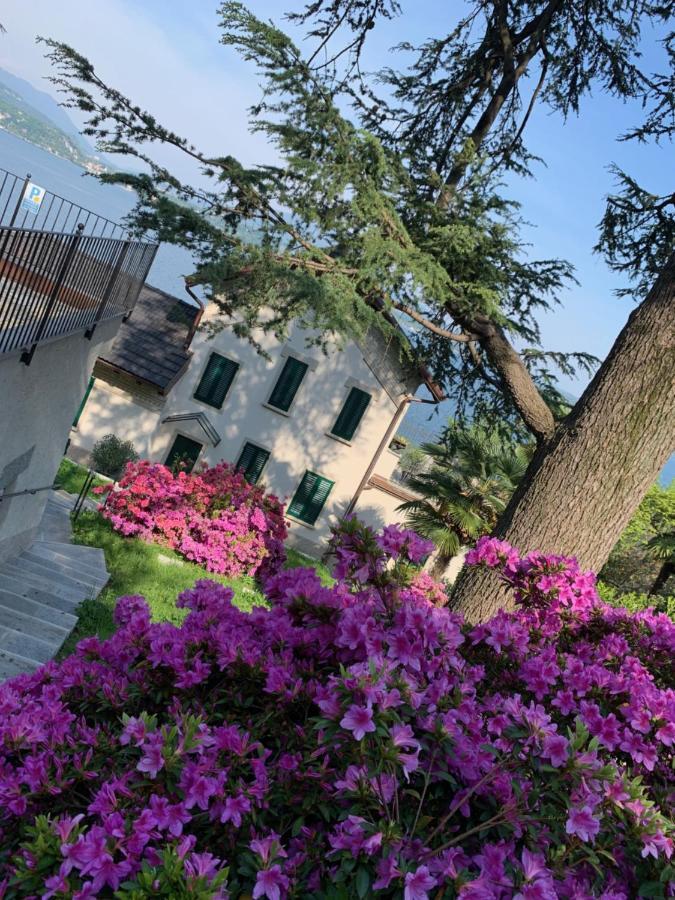 Апартаменты Giardini Magnolia Бельджирате Экстерьер фото