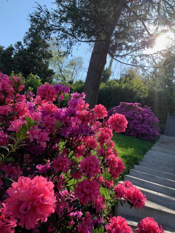 Апартаменты Giardini Magnolia Бельджирате Экстерьер фото