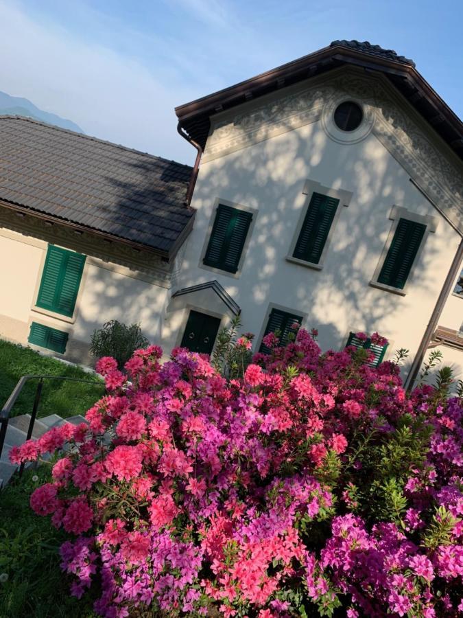 Апартаменты Giardini Magnolia Бельджирате Экстерьер фото